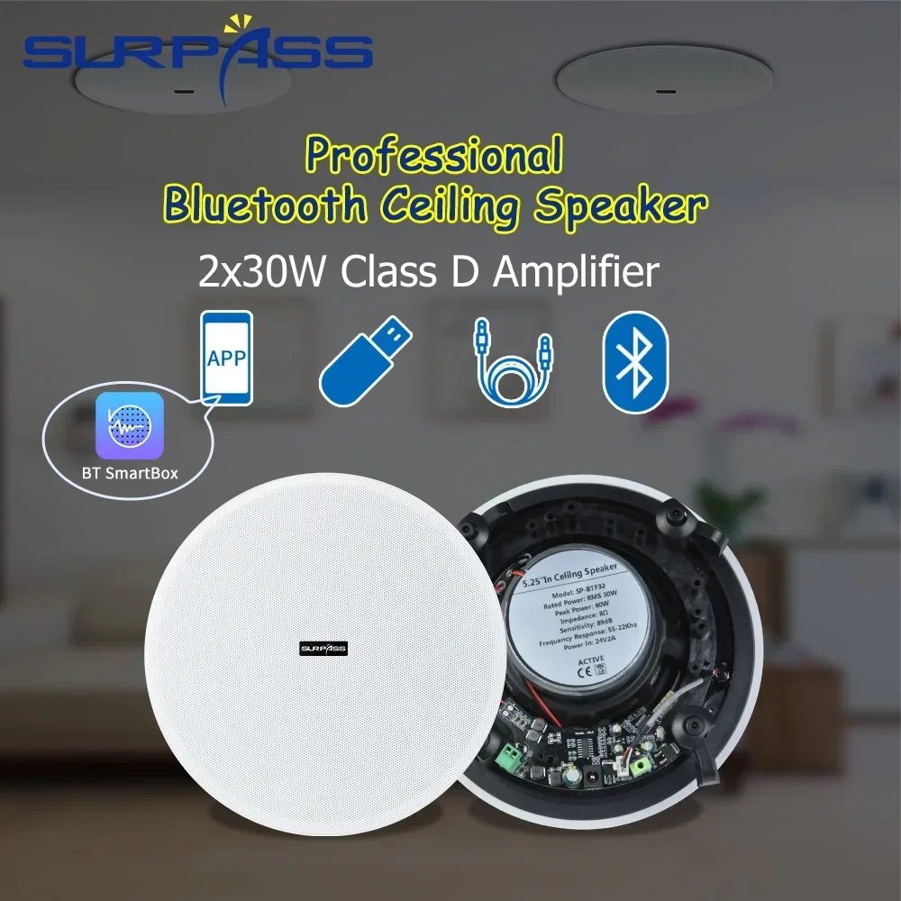 Ceiling Bluetooth Speaker 5.25 - Home Cinema Bluetooth 5.1 ulasan dan harga