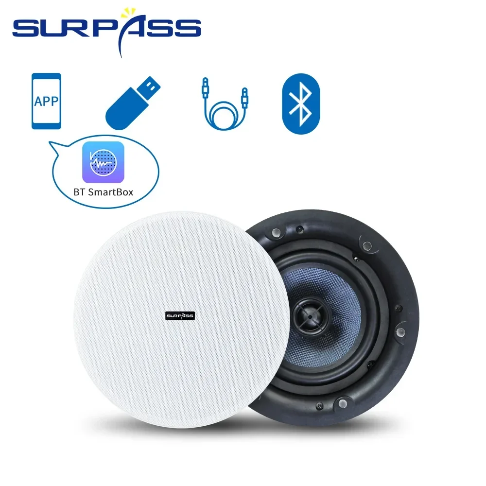 Ceiling Bluetooth Speaker 5.25 - Home Cinema Bluetooth 5.1 ulasan dan harga